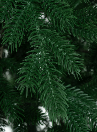 DSC_7429