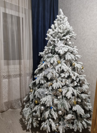 камчатская 210..