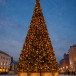 Уличная ствольная светодинамическая елка Альпийская Люкс 12 м., ПВХ, зеленая, ЕлкиТорг (3041200)