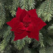 Декоративный цветок Пуансеттия 28 см., красный, на клипсе, Christmas DeLuxe (89560)