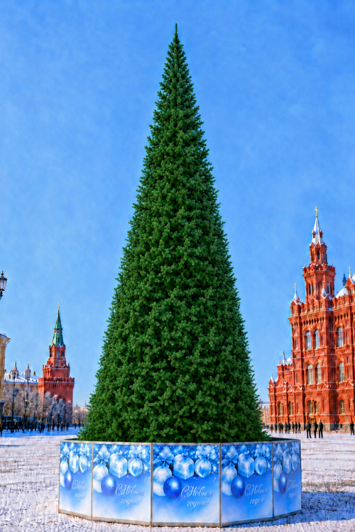 Уличная ствольная елка Альпийская Люкс 9 м., ПВХ, зеленая, ЕлкиТорг (278900)