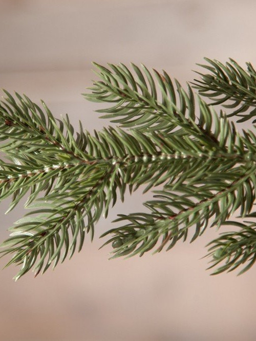 Елка Царская 260 см., литая хвоя+пвх, Triumph Tree (73676)
