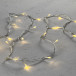 Светодиодная нить 100 шампань LED ламп, 10 м., 24В., прозрачный провод ПВХ, Beauty Led (PST100-10-1CH)