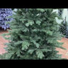 Ель Шервуд Премиум 230 см., 100% литая хвоя, Triumph Tree (73196)