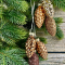 Набор стеклянных украшений Гроздь Шишек, 3 шт., 6 см., бронза, Christmas DeLuxe (89881)