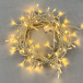 Светодиодная нить 100 теплых белых LED ламп, 10 м., 24В., прозрачный провод ПВХ, LTC (PST100-10-1WW)