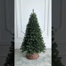 Искусственная елка Селигерская 210 см., мягкая хвоя, ЕлкиТорг (187210)