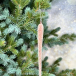 Сосулька Хрустальная капель 23 см., коралловый, 1 шт., Christmas DeLuxe (86607)