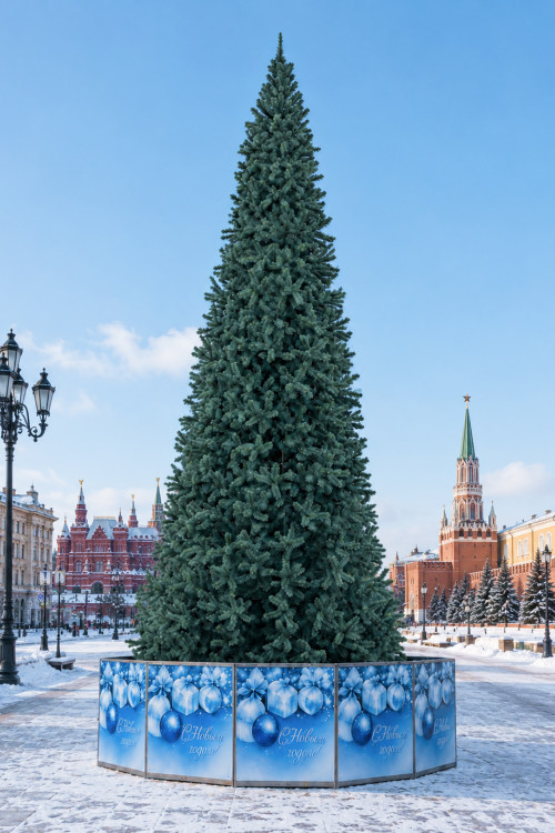 Уличная ствольная елка Альпийская Люкс 8 м., ПВХ, изумрудная, ЕлкиТорг (302800)