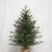Искусственная елка Петроградская 90 см., 100% литая хвоя, ЕлкиТорг (245090)