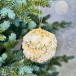 Винтажный шар Сокровища Посейдона - Ракушка, 10 см., бежевый, 1 шт., Christmas DeLuxe (86563)