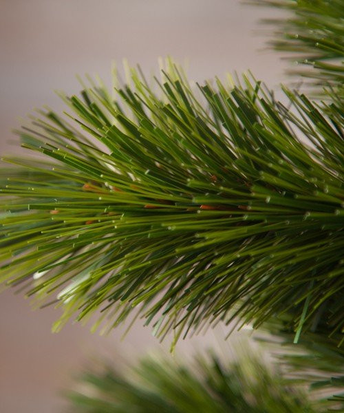Сосна Триумф Норд 155 см., микс (леска+пвх), Triumph Tree (73990)