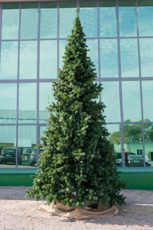 Интерьерная искусственная елка Клеопатра Премиум 6 м., ствольная, ПВХ, Green Trees (GT6KL)