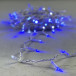 Светодиодная гирлянда с колпачком 100 синих LED ламп 10 м., мерцание, 220-230 В., прозрачный провод ПВХ, IP65, LTC (PST100BLWCAP-10-2B)