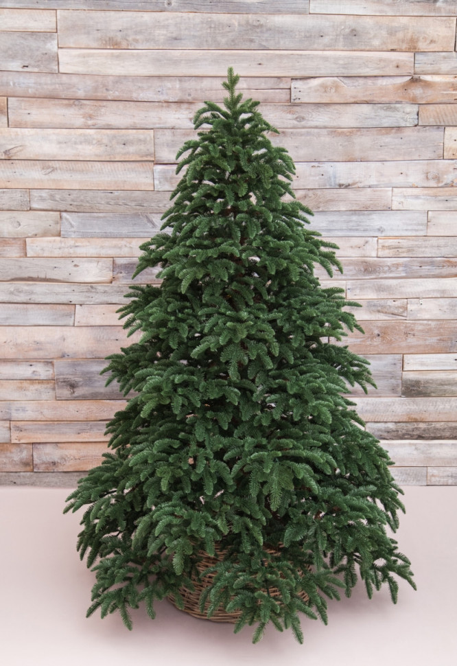 Елка Нормандия 215 см., 100% литая хвоя, Triumph Tree (72081)
