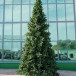 Интерьерная искусственная елка Клеопатра Премиум 7,5 м., ствольная, ПВХ, Green Trees (GT7,5KL)