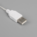 Неоновая вывеска Кошка 16×23 см., батарейки ААх3, USB, тёплый белый, Luazon Lighting (7989800)