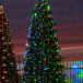 Комплект освещения Динамика для елей высотой 13 м., 3000 LED, 20 шт.*15 м., Green Trees (Dinamika13)