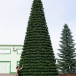 Уличная елка Испанская зеленая 23 м., каркасная, ПВХ, Green Trees (GT23ISPVC)