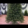 Елка Лесная Красавица стройная 260 см., леска+пвх, Triumph Tree (73906)