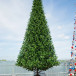 Уличная искусственная елка Альпийская зеленая 6 м., ствольная, ПВХ, Green Trees (GT6APVC)