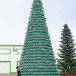 Уличная елка Испанская изумрудная 6 м., каркасная, ПВХ, Green Trees (GT6ISPVCBL)