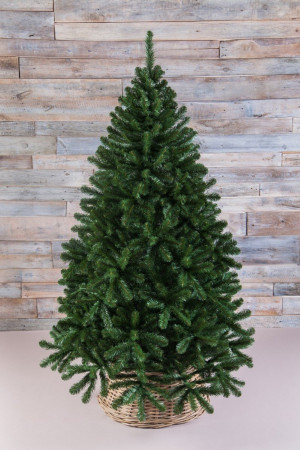 Сосна Рождественская 230 см., мягкая хвоя, Triumph Tree (73099)