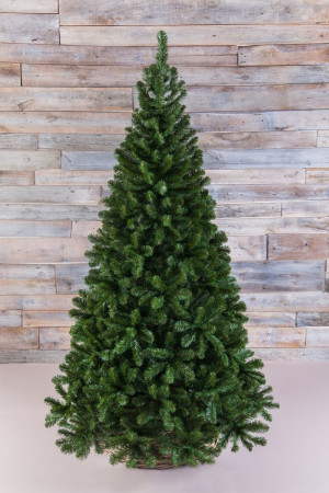 Елка Санкт-Петербург 155 см., мягкая хвоя, Triumph Tree (73579)