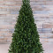 Елка Санкт-Петербург 155 см., мягкая хвоя, Triumph Tree (73579)
