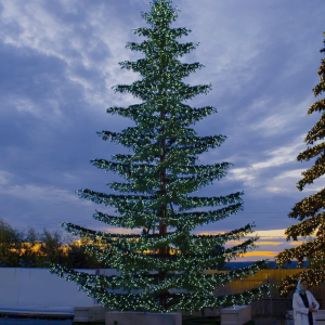 Уличная светодинамическая елка Лесная зеленая 14 м., ствольная, Литая, Green Trees (GT14LESPELED)