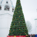 Уличная сосна Уральская зеленая 5 м., каркасная, Леска, Green Trees (GT5URLES)
